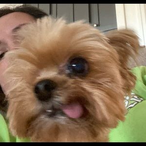 Meet your Posher, Bridgette